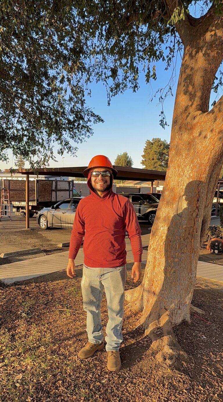 Contact – Genesis Tree Service